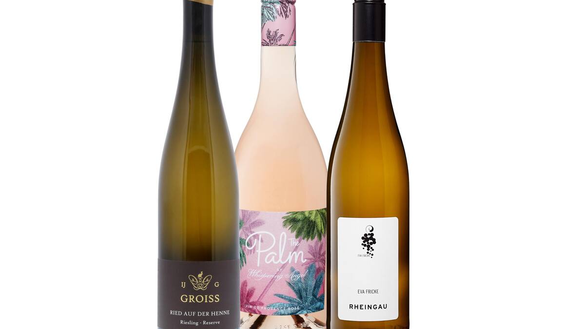 Weine von Coop Mondovino der perfekte Wein für laue Sommerabende