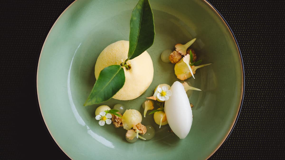 Veganes weisses Schokoladen-Mousse | GaultMillau Veganes weisses Schokoladen-Mousse | GaultMillau