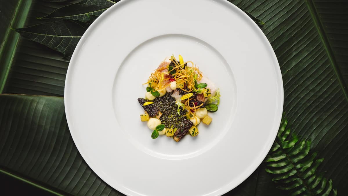 Rezept: Felchenfilet mit Kartoffeln und Morcheln von Sascha Behrendt