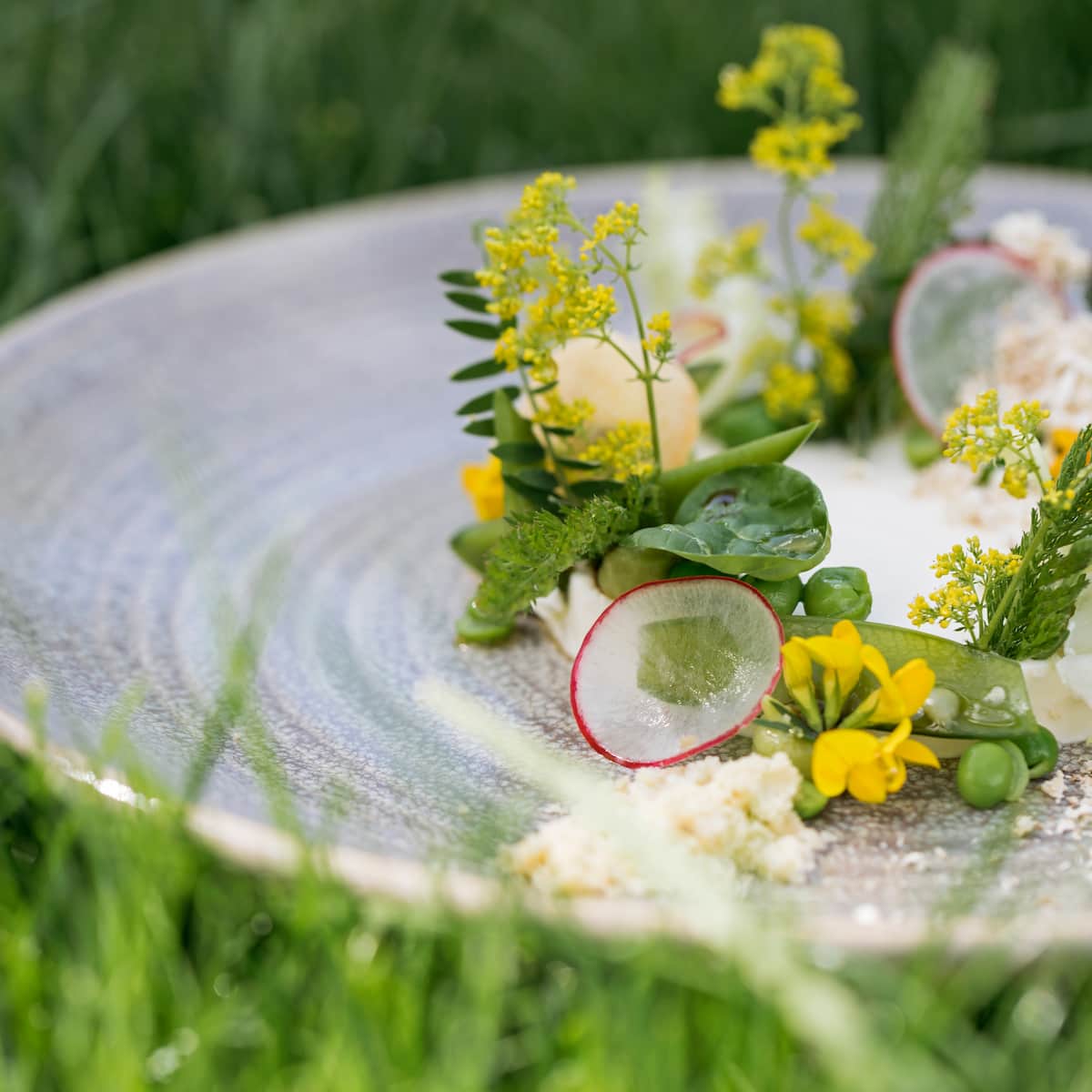 Blüten und Blätter zum Essen