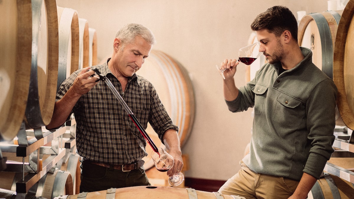 die-goldwand-schaufenster-zum-aargauer-wein