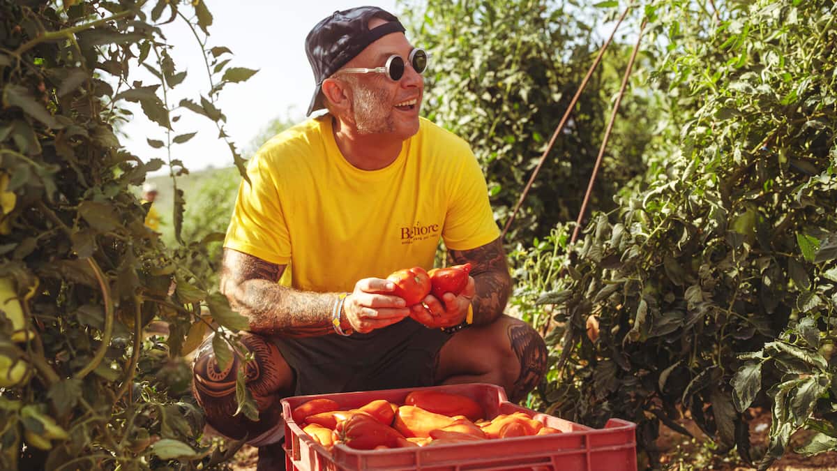 -Estragon-passt-gut-in-einen-Tomatensalat-