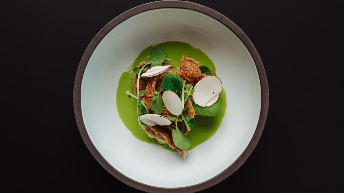 Focaccia-Knödel im Wirsingmantel | GaultMillau