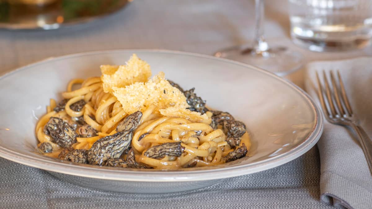 Linguine an Morchelsauce mit Parmesan-Tuiles | GaultMillau
