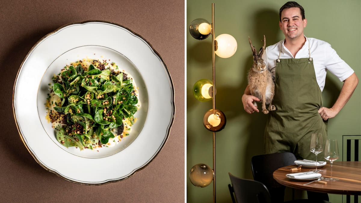 der-allerbeste-n-sslisalat-meines-lebens