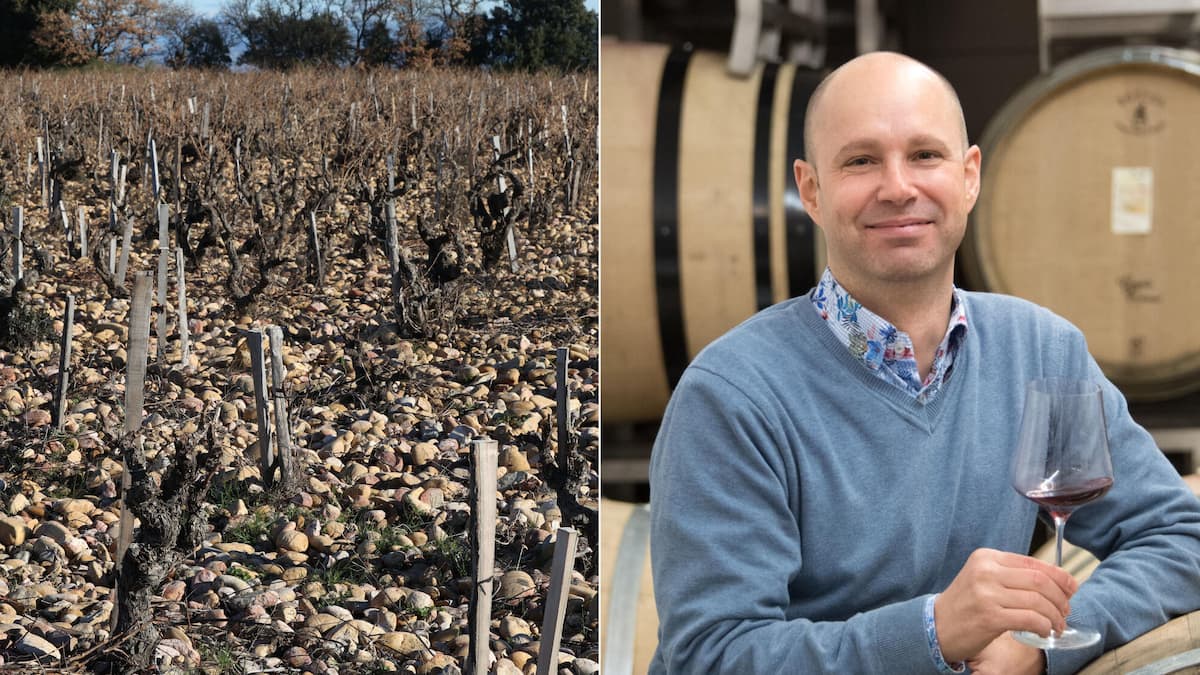 Rhônetal: «Ungewöhnlich aromatisch & elegant» An der französischen Rhône werden grandiose Weine angebaut, sagt Jan Schwarzenbach. Auch die Weissen sind top!