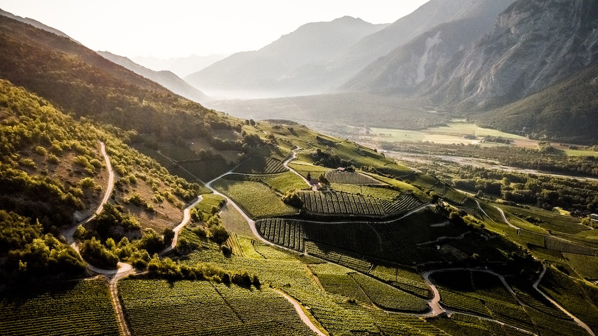 WinzerDate Ab in die Walliser Weinkeller! GaultMillau