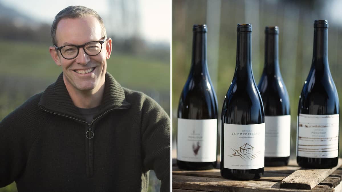 Rookie-Vincent-Graenicher-Chasselas-more