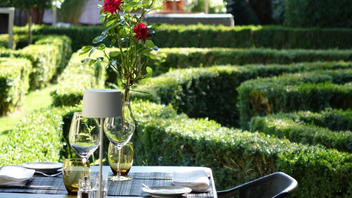 Cannelloni vom Lamm &amp; Gyoza in der Bibliothek | GaultMillau