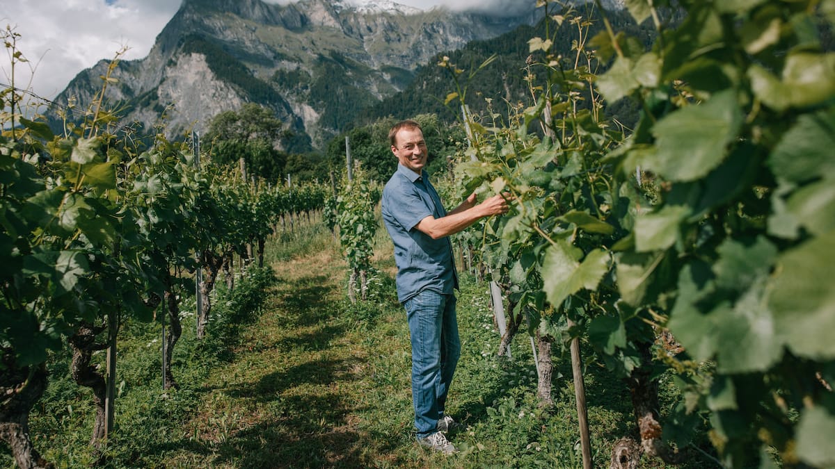 Rookie-Tobias-Wegelin-Pinot-Noir-only-