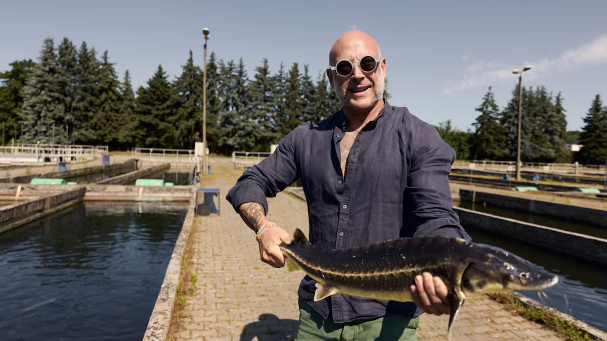 Kaviar-Safari-Marco-bei-den-Urzeit-Fischen