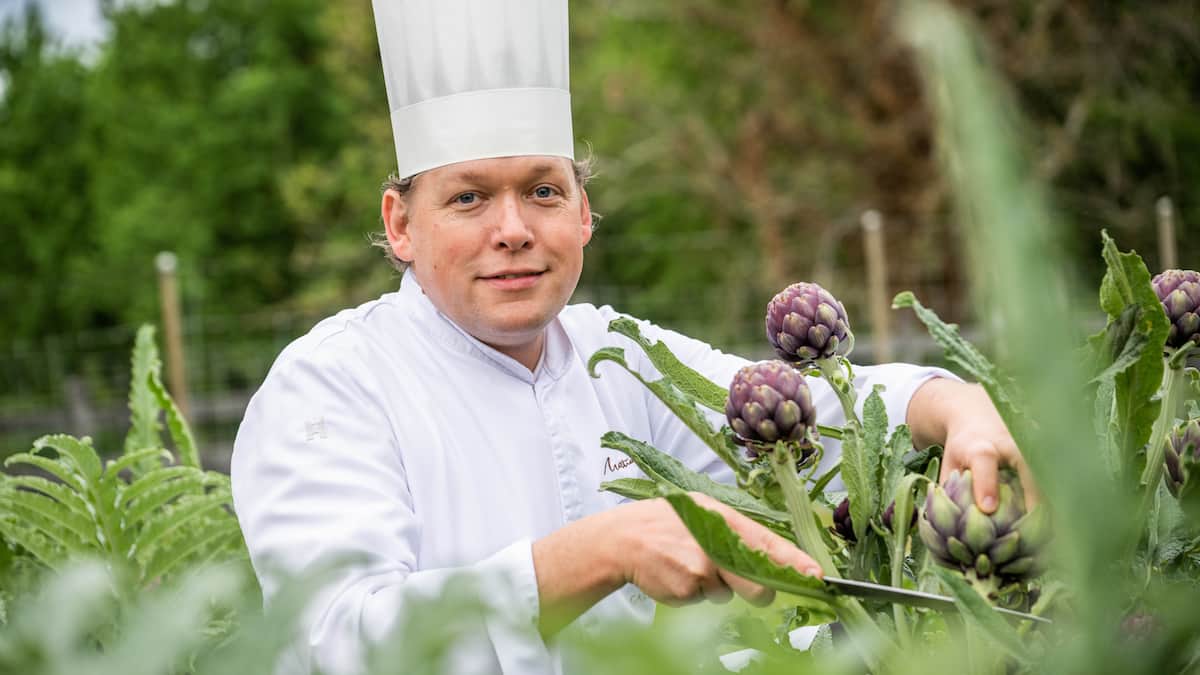 Mattias-Roock-seine-Tipps-f-r-Artischocken