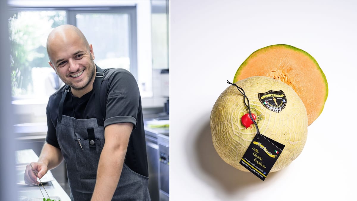 -Melonen-lieben-Kr-uter-sogar-Rosmarin-