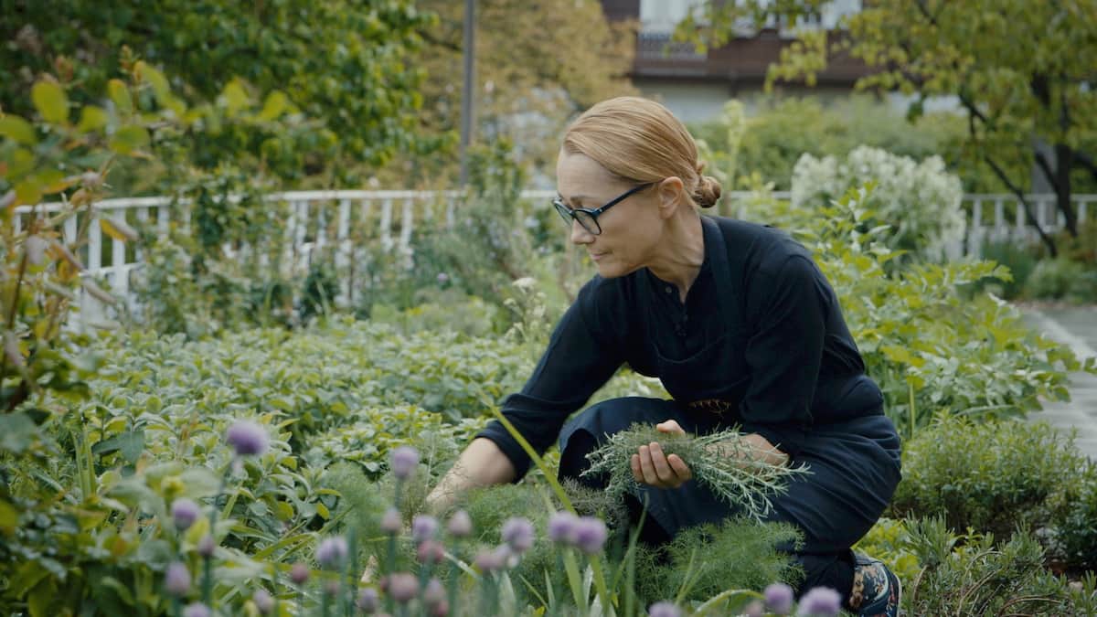 Tanjas Garten: Pannacotta mit Kräuterhonig | GaultMillau