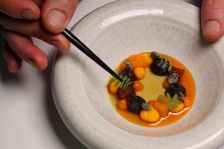 Gericht: Kürbis Chawanmushi, Pilz, Safran, Sanddorn