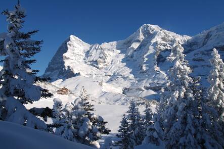 Hotel Jungfrau Wengeralp Von Allmen