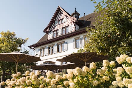 Kochkurs mit Silvio Germann - Mammertsberg, Freidorf TG - Böni tranchiert 2023 - Copyright Olivia Pulver