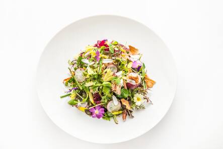 Sebastian Rösch Mesa Zürich