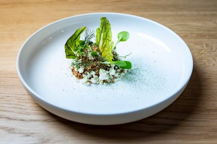 Restaurant Magdalena, Rickenbach (SZ), eingelegter Rettich, Miso Glacé, Ricotta-Schaum; Frischkaese-Crumble und Schnittlauch-Radieschen Vinaigrette Dominik Hartmann, Magdalena, Rickenbach, SZ, Entdeckung des Jahres, 2021, Tafel, GaultMillau 2021 © Nik HungerÂ