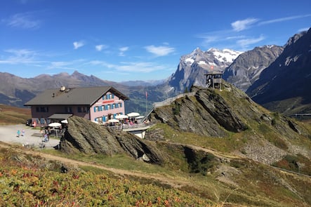 Grindelwaldblick