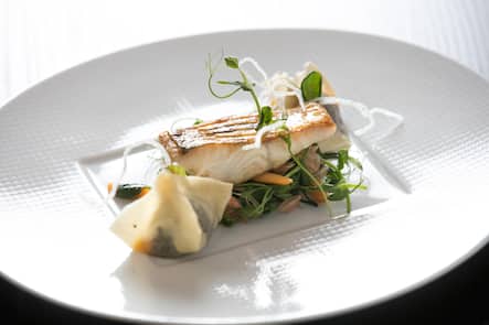 Zanderfilet mit Oxtail-Wangtong, Barbe di Frate und Erbsensprossen-Salat.