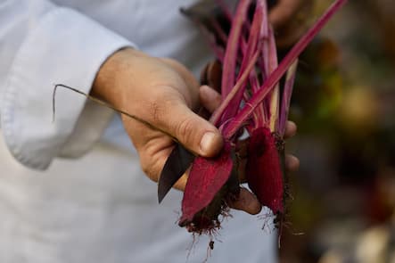 Pinte des Mossettes, Nicolas Darnauguilhem, Route des Echelettes 8, 1654 Cerniat