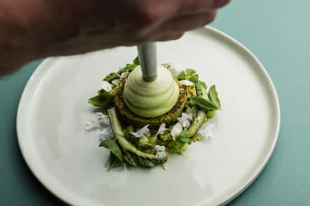 Frühlingshafte Vorspeise: Spargel, Basilikum-Brioche, Bergkäse und weisse Kornblume.