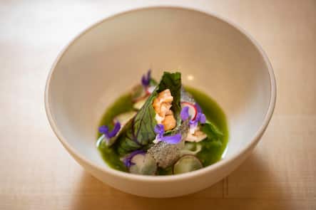 Restaurant Moment, Lachsforelle Ceviche, Blutampfer, Kohlrabi, Petersilie, wilde Salbeiblüten