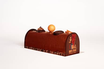 Bûche-glacée-lausanne-palace-chocolat-noel-2024