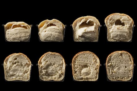 Modernist bread