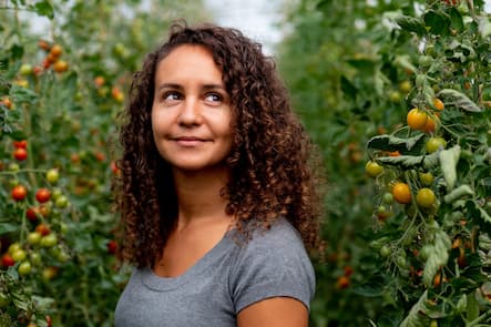 Tomaten - Die vegane Köchin Zizi bestellt ihr Gemüse bei Sarah Heiligtag von Hof Narr, ein «Gnadenhof» für Tiere. Der Verein rettet Tiere und hilft anderen Bauern umzusatteln. Daneben wird Gemüse biologisch angebaut. - 24. August 2020 - Copyright Olivia Pulver