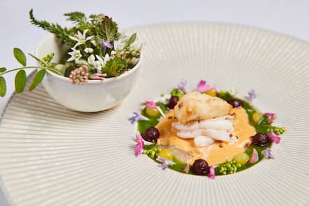 Restaurant Opera David Krüger