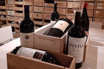 Wunderbrunnen, Weinkeller Restaurant in Opfikon, ZH