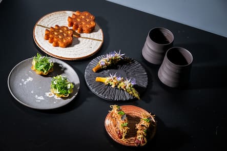 Silvio Germann, Mammertsberg 2024: Aperohäppchen