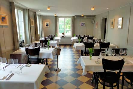 Die Blume Schwamendingen