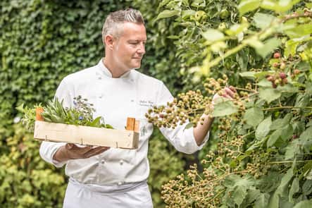 Stefan Beer VJ_ZMenüvoHie_Gärtnere