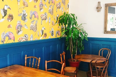 adresses vegetariennes Geneve cafe mutin