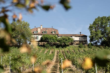 Domaine de Chateauvieux. Satigny, Geneve, GE