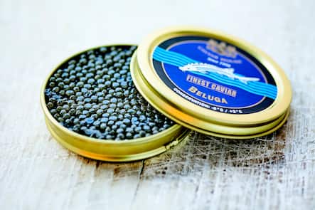 Caviar Beluga