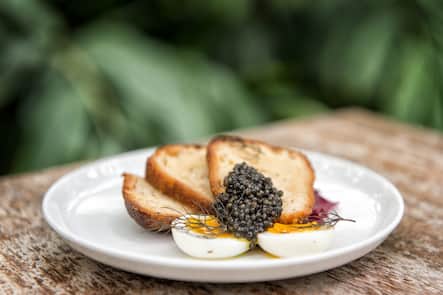 Das Tropenhaus Futigen ist der einzige Kaviar Produzent der Schweiz, in der Fischzucht werden Stoere gezuchtet fuer ihren Kaviar und Egli. aufgenommen am 18.09.2014 Bild Remo Naegeli