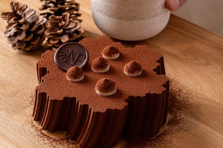 Bûche Nicolas Flandin