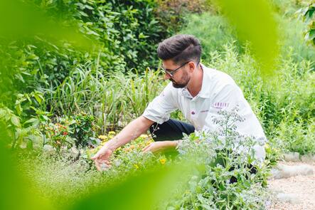 Giardino Ascona - Restaurant Hide&Seek - Chefkoch Adrian Bührer - Ayurvedische Küche - 18. Juni 2020 - Copyright Olivia Pulver