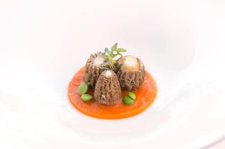 Hotel Restaurant Balm, Meggen