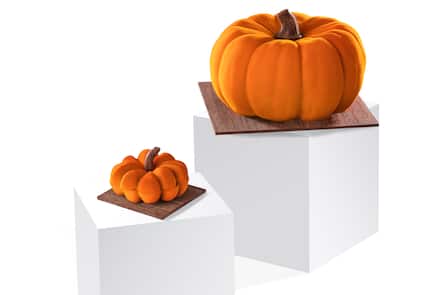 GAULTMILLAU-CHANNEL-GENEVE-HALLOWEEN-BICHET