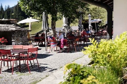 Miroir d'Argentine Solalex