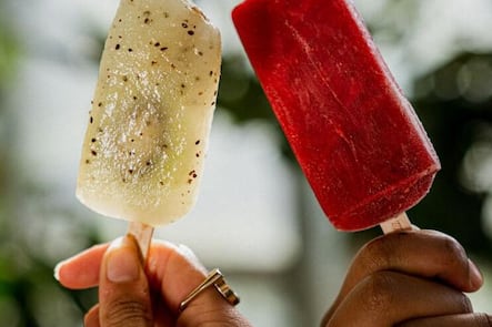 Paleta Loca Lausanne glaces