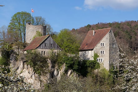 Château de Pleujouse