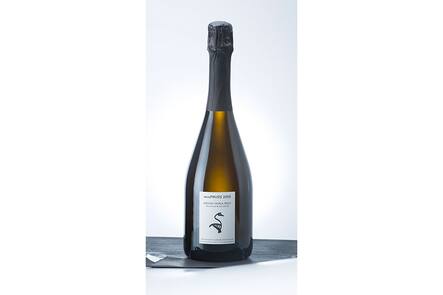 MetaPhusis 2013 Arvine Extra Brut, Steve Bettschen VD