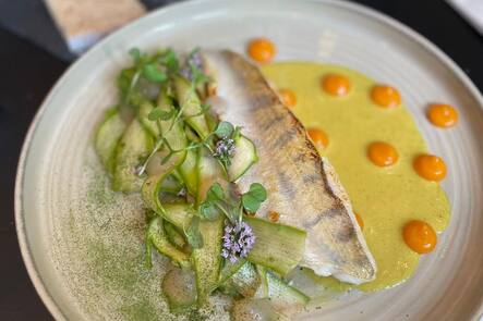 Sandre - Nabi, Lausanne