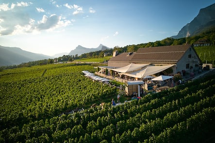 Alter Torkel Jenins, Huus vum BA 1/4ndner Wii, GR